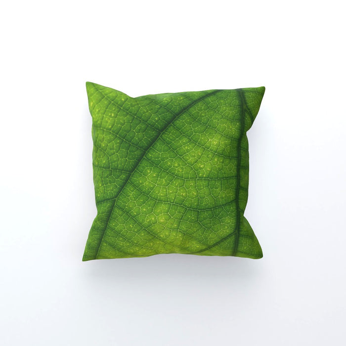 Cushions - Green Leaf - printonitshop