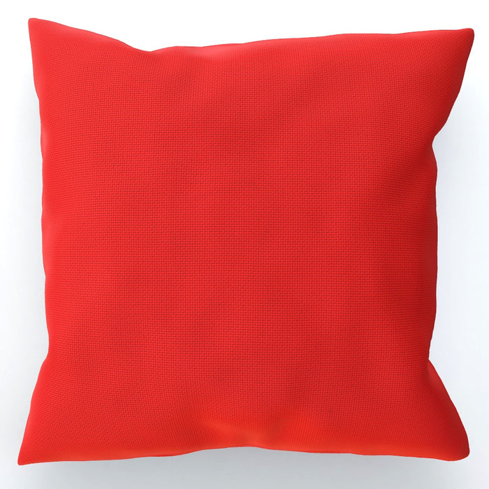 Cushions - Babies on Red - printonitshop