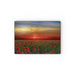 Glass Chopping Boards - Poppy Fields - printonitshop